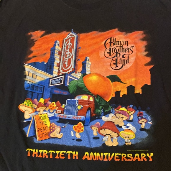 Vintage Allman Brothers Band Concert t shirt - Picture 3 of 5